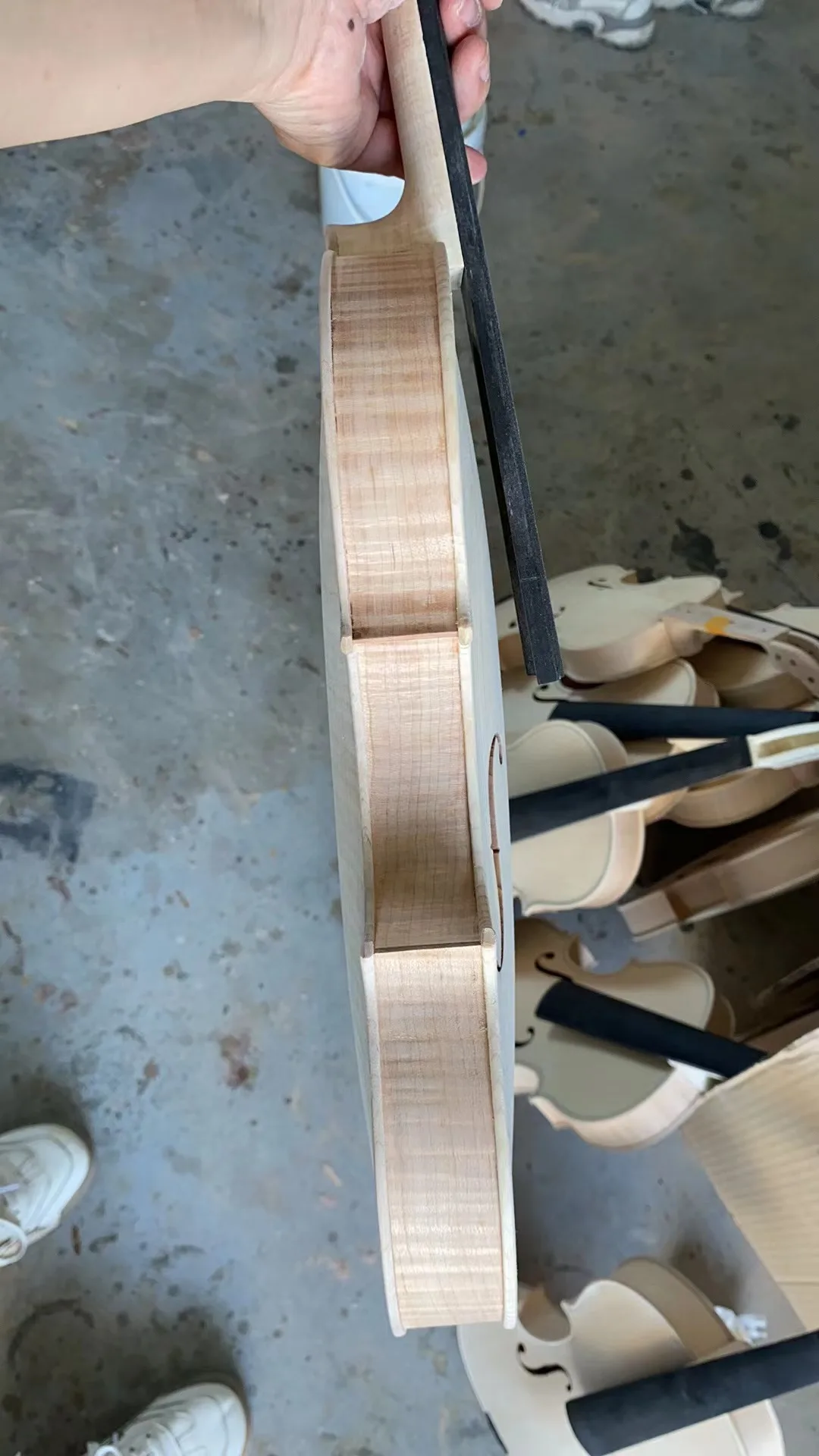 over 30 years All European Wood Violin 4/4 Guarneri 1743 professional Handmade white embryo unfinished violin Ebony Fingerboard