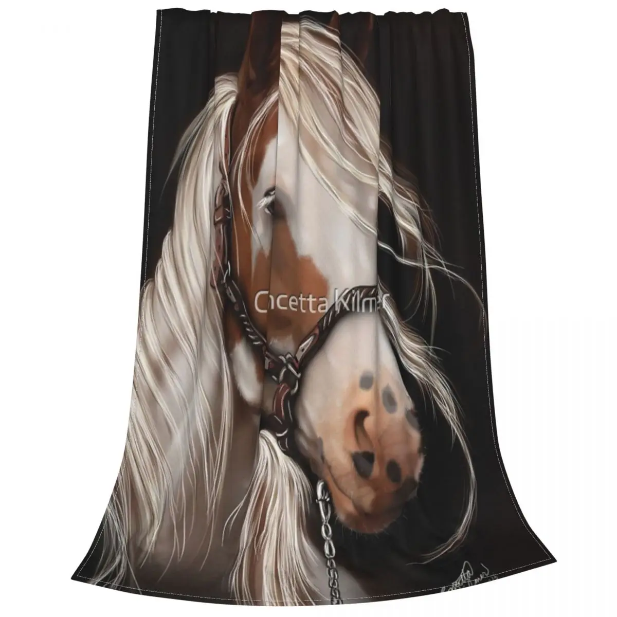 Soul Seeker �� ���� ��� ħ�뺸, �׸� �޸� �β��� ħ�뺸