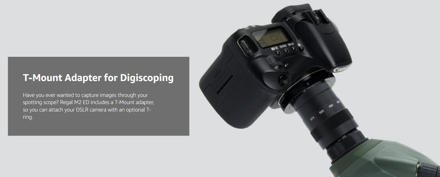 Cannocchiale Celestron Regal M2 80ED | Ottica ED Per Birdwatching E Astronomia | Nero | Modello 52305