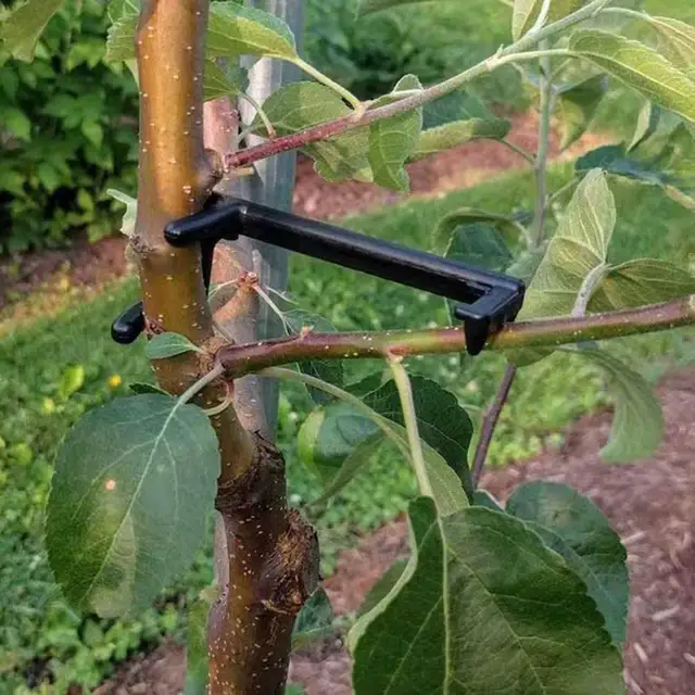 25 Pcs Gyümölcsfa Ág Végtag Szóró Erősen Terjedő Lábszögek Ágak Bonsai Csomagtartók Modellező Eszköz