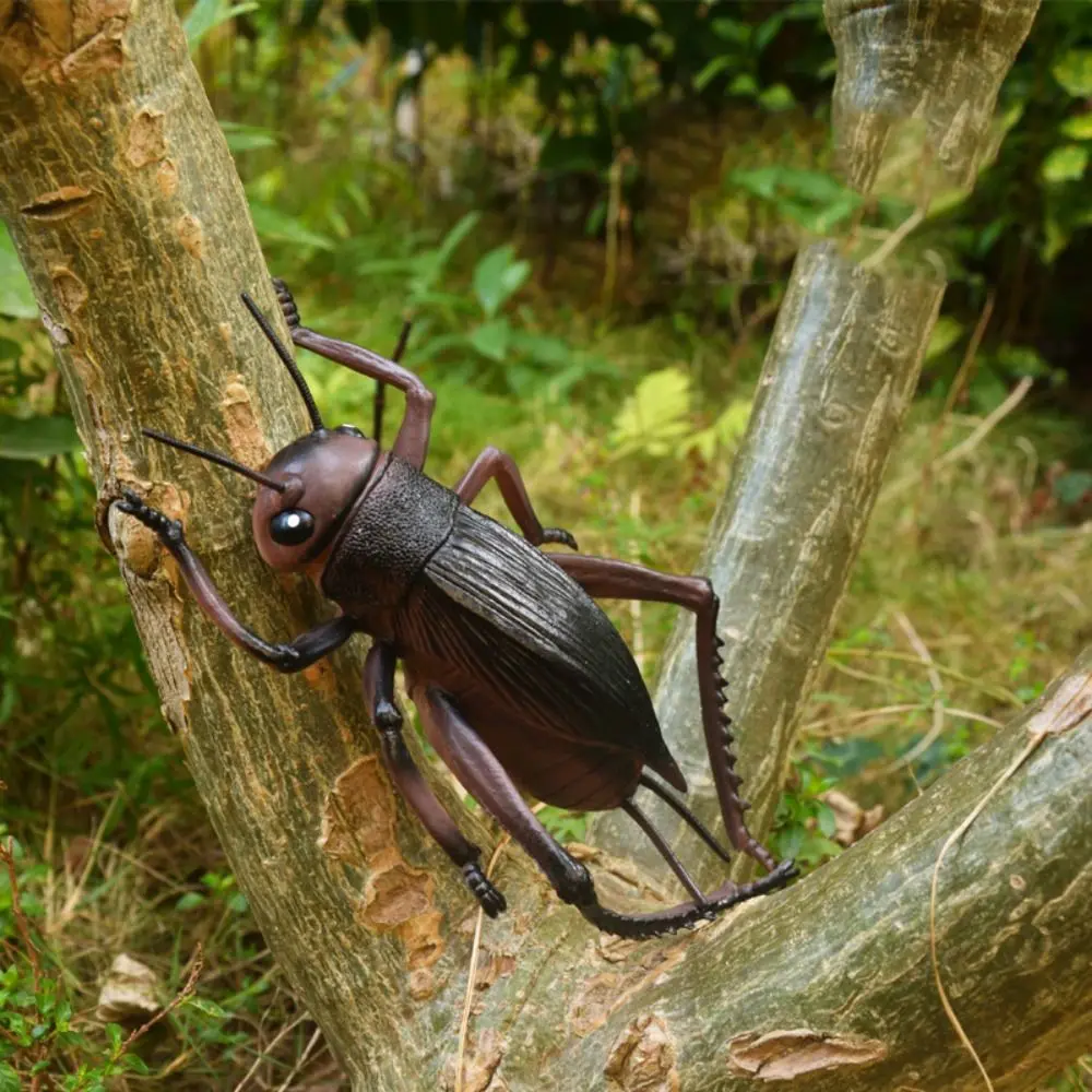 Рисунок 4 - Игрушка-паук для Крикета