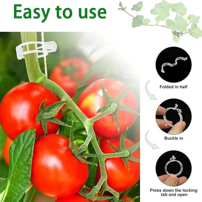 100PCS Plant Fixing Clips Reusable Plant Vegetables Vine Connects Fixing Tool Vegetable Tomato Grafting Protect Garden Supplies
