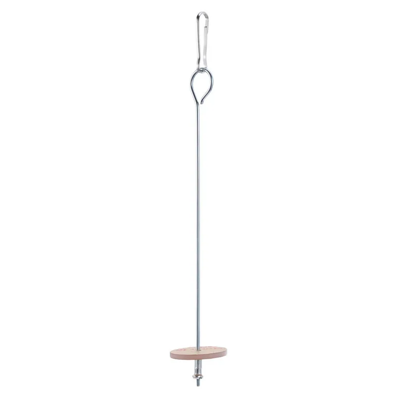 Bird Food Holder Pet Parrots Birds Stainless Steel Fruit Spear Stick Meat Fruit Vegetable Skewer Fork Hook Bird Cage Accessory