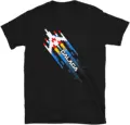 Galaga 17