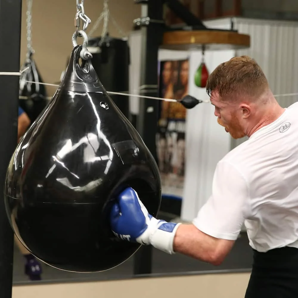 Adjustable Watertight PVC Gym Training Heavy Boxing Ball Water Punching Bag