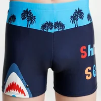 2024 Summer Cartoon Boys Swim Trunks Children Swimwear Pattern Toddler Kids Swimsuits Boys Elastic Waist Beach Shorts L-3XL 4