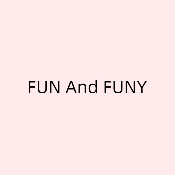 FUN And FUNY Store