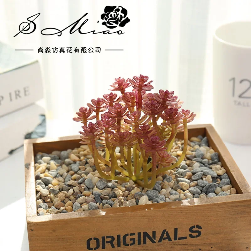 Lush Green Succulent Cactus Decorative Accessory