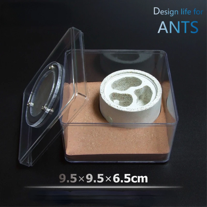 

Q Ant House, профессиональная экологическая имитация домашних животных, Муравьиное новое гнездо, бетонная акриловая вилла, старшая муравьиная королева, замок разведения муравьев