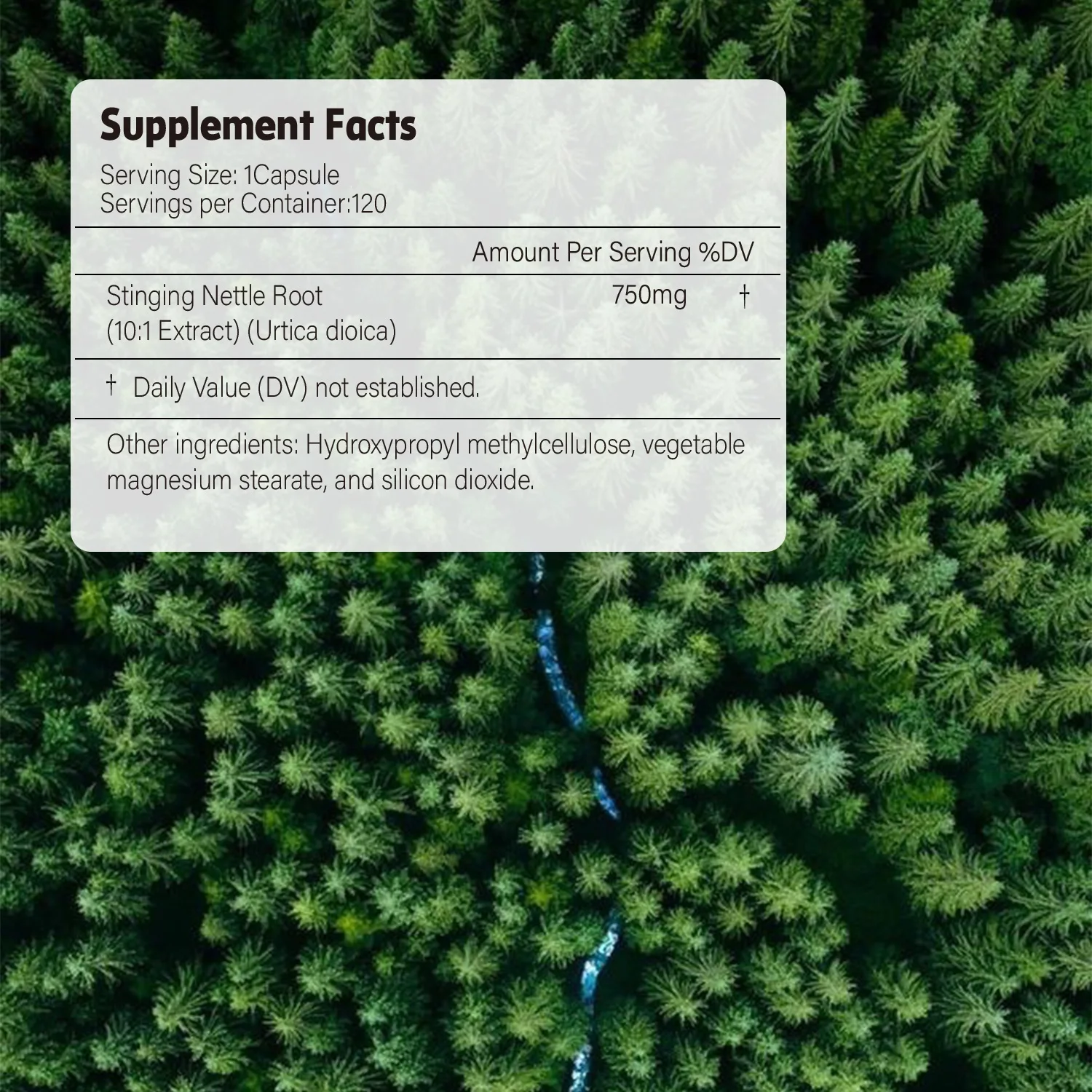 Stinging Nettle Root Extract Capsules-Promotes Prostate Health, Urinary Tract Support-Non-GMO, Gluten Free