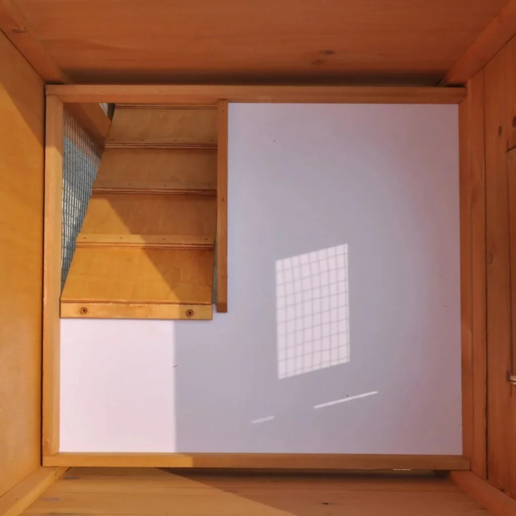 Clapier dans jardin avec lapin