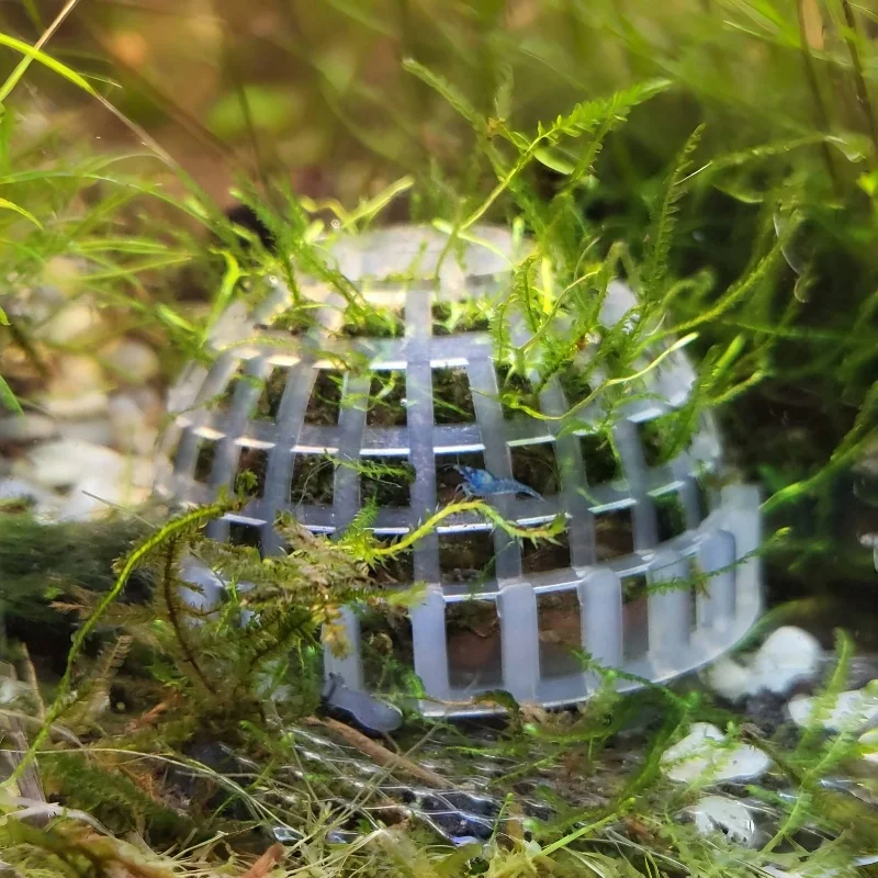 Aquarium Moss Ball Holder Set - Creative DIY Shape Former & Filter for Moss Plant