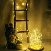 Small Micro 20-100 LED Fairy Lights String Battery Copper Sliver Wire Xmas Party 3