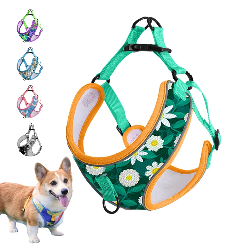 Dog Harness Leash French Bulldog Harness Leash Set Small Dogs Dog