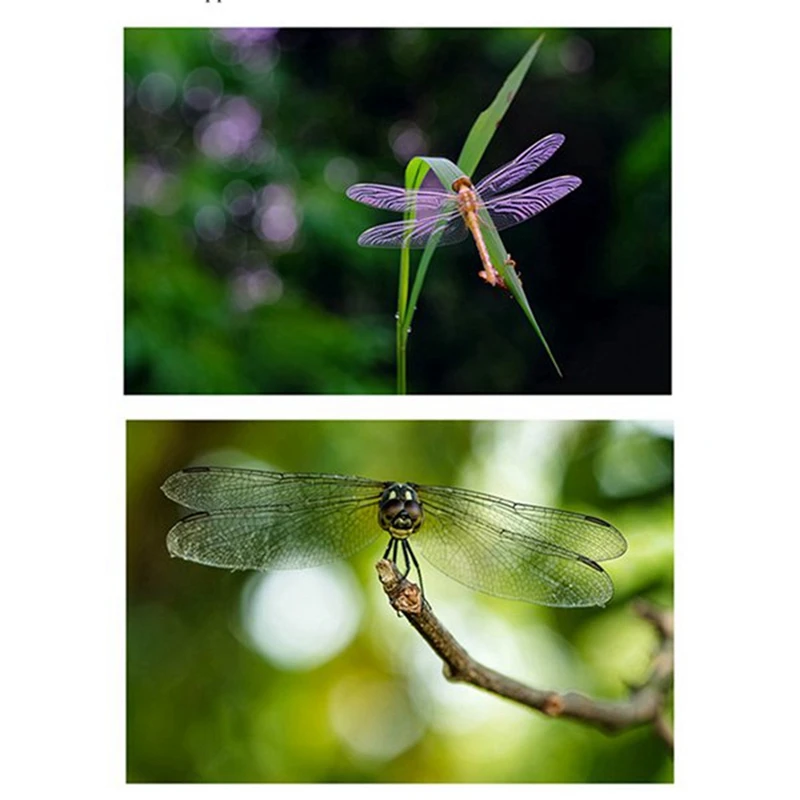 전문 렌즈 휴대 전화 렌즈, 매크로 렌즈, 곤충 꽃 쥬얼리, 원격 촬영 필터, 80-100mm, 52mm