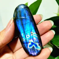Pierre de Labradorite naturelle, pierres de palmier en cristal, jouet de guérison, cristaux Feng Shui, décoration de la maison 2