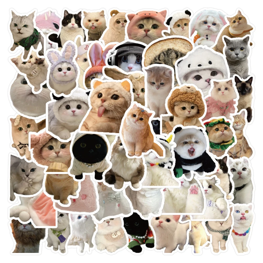 Chatons kawaii chat' Autocollant