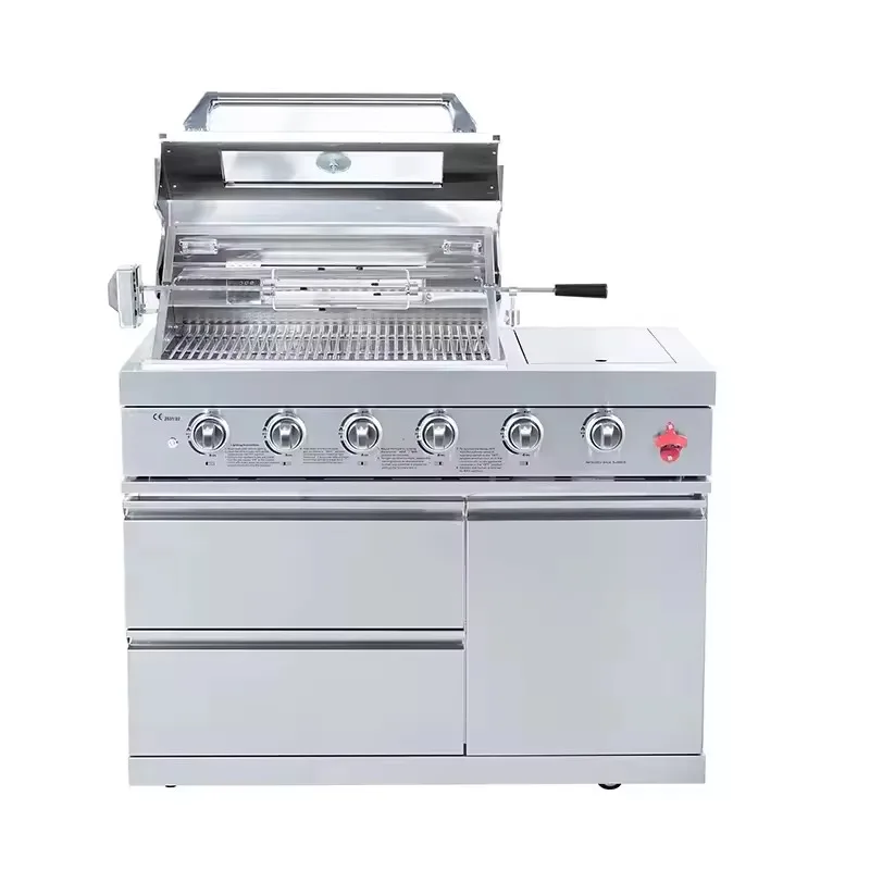 Cuisine modulaire extérieur style moderne Premium 5