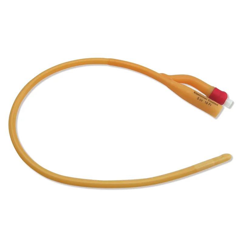 12 Pcs Double Way Latex Disposable Medical Urethral Catheters Sterilization Foley Inserted Tube Urine Catheter with Soft Valve