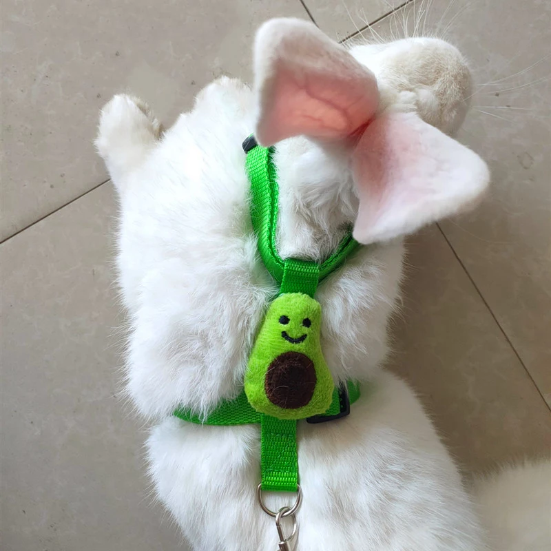 Small Animals Outdoor Wakling Supplies Cartoon Style Rabbit Harness and Leash Set Bunnies Guinea Pig Bunny Accessoris Pet