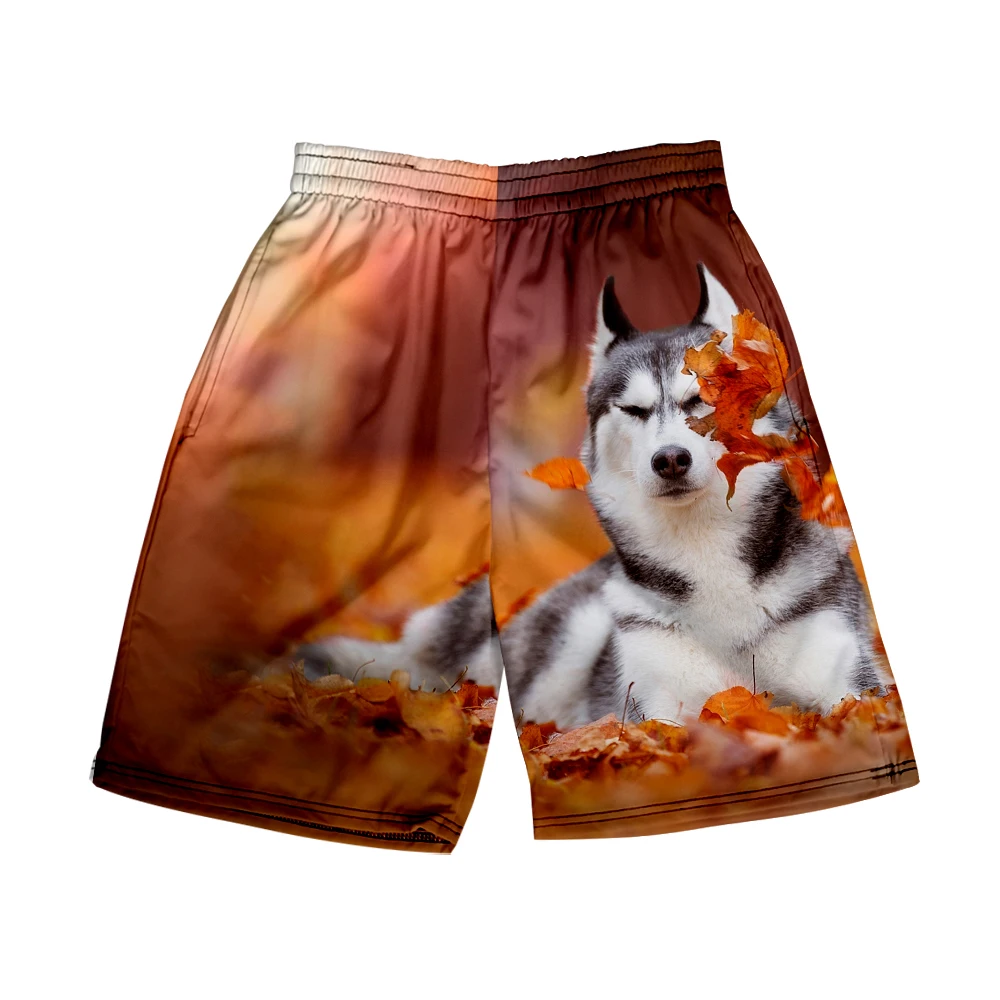 

Пляжные шорты Мужская и женская одежда 3D цифровая печать повседневные шорты модные трендовые парные брюки тигр собака