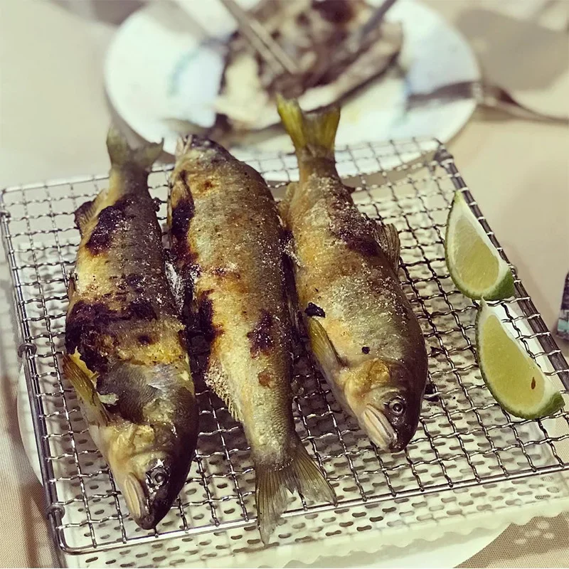 Japanese barbecue net far-infrared radiation ceramic sandwich grilled rice cake grilled fish direct fire grill