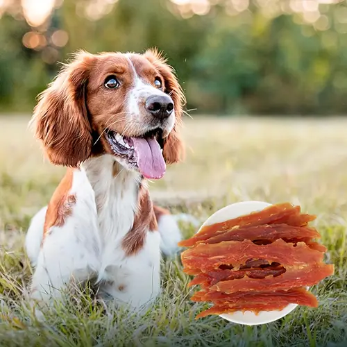 2-Pack(2 x 200g/7.05oz)Chicken Jerky Treats For Small, Medium, Large Dog, Made With Real Pure Chicken - Healthy - Image 2