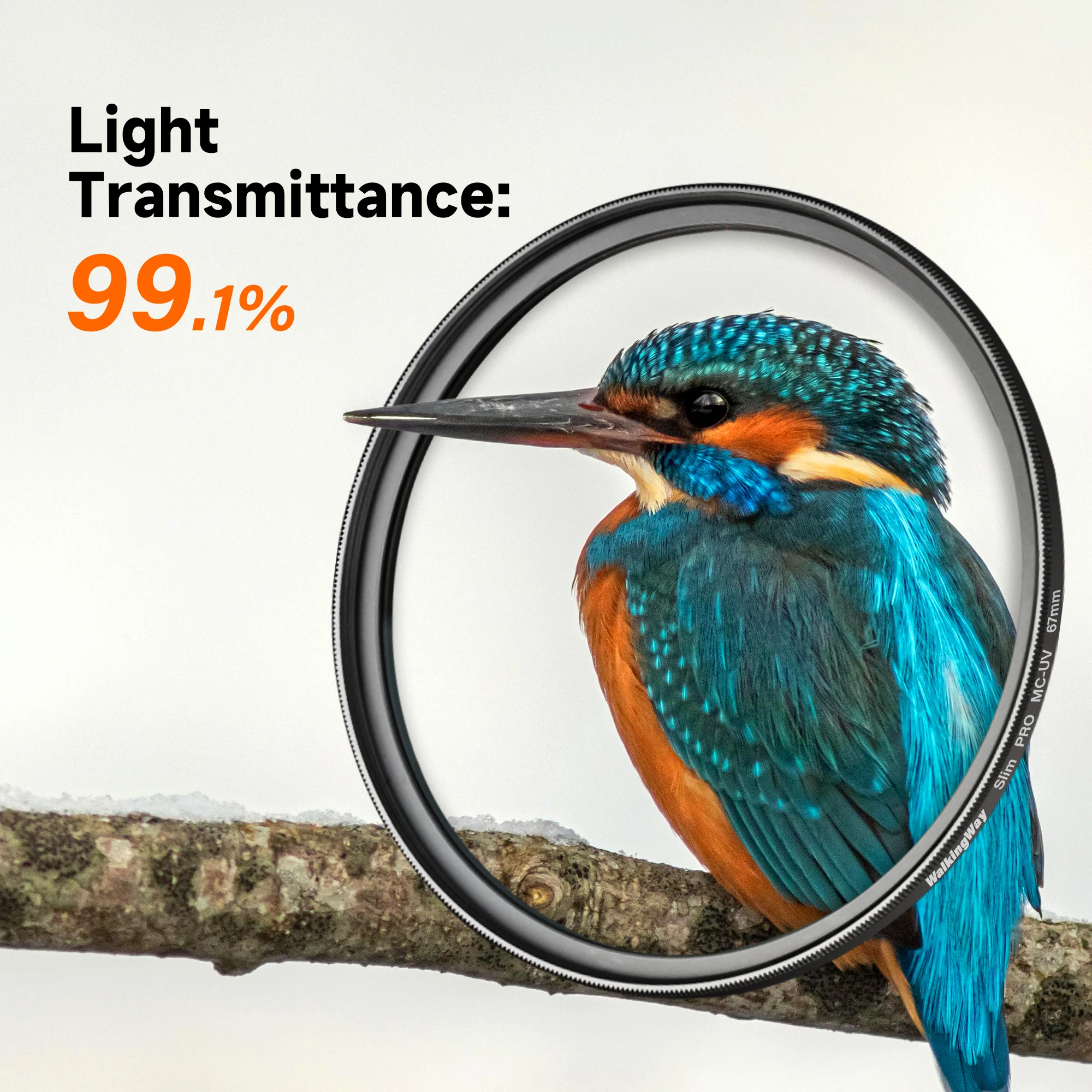 Slide image f1d0b0247380430d9b1c1baf58d45f42