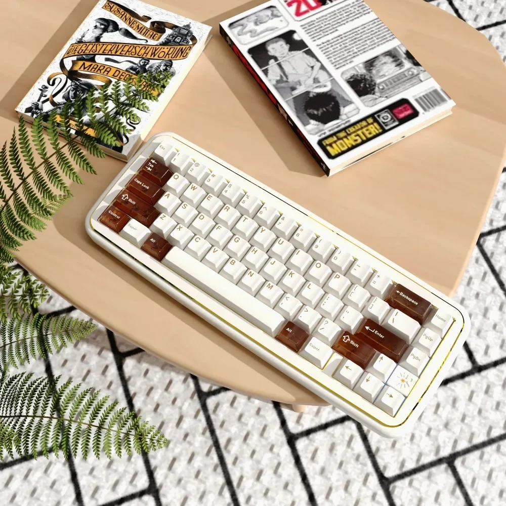 TASTE65 기계식 키보드 알루미늄 키트 무선 트라이 모드 개스킷 핫스왑 RGB 커스텀 퀵 릴리즈 65% 오피스 게이밍 키보드