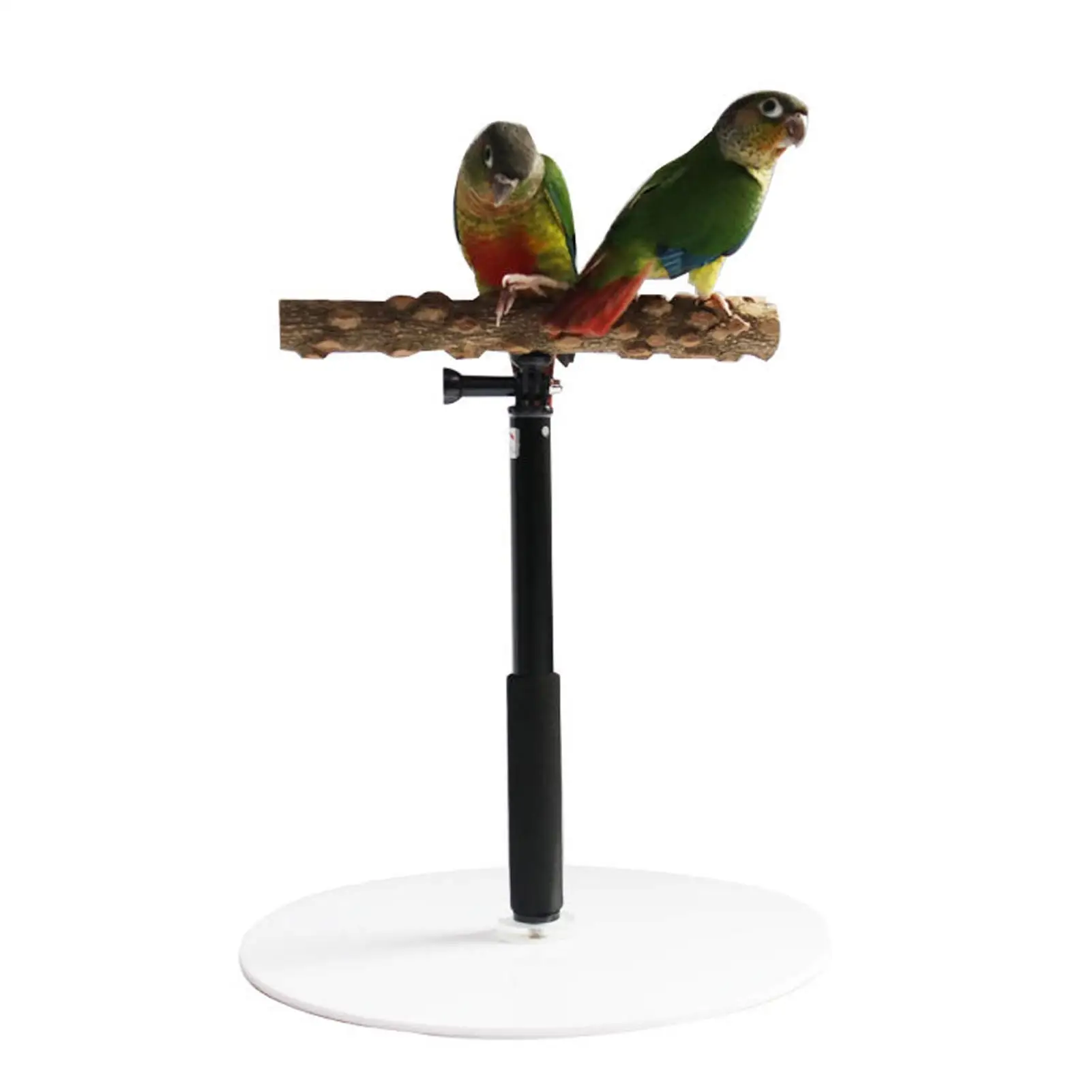 Papagaio Carrinho De Mesa De Madeira Suporte De Jogo De Mesa Para Pássaros  Ajustável Parrot Treinamento Carrinho Brinquedos Portátil Poleiro Retrátil  - Acessórios Para Pássaros - AliExpress