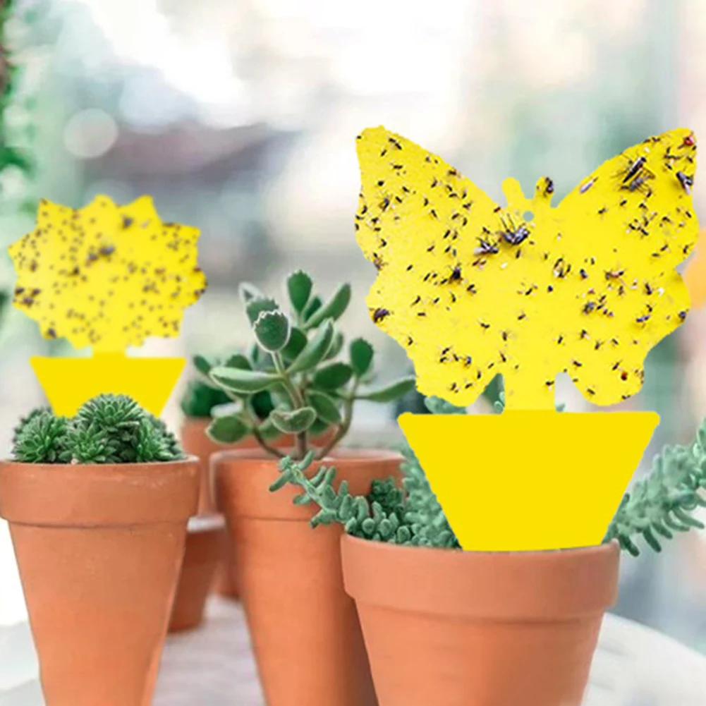 10–40 Stück Klebefallen, Obstfliegenfalle, gelbe klebrige Insektenfalle für den Innen- und Außenbereich, Insekten-Schädlingsbekämpfung, Garten, starker Kleber, Pflanze – Detail 9