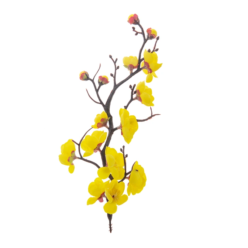 color 4