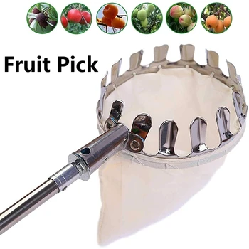 Raccoglitrice di frutta in metallo Frutteto Giardinaggio Mela Pesca Strumenti per la raccolta di alberi alti Custodia per raccolta di frutta Forniture per giardino agricolo 1