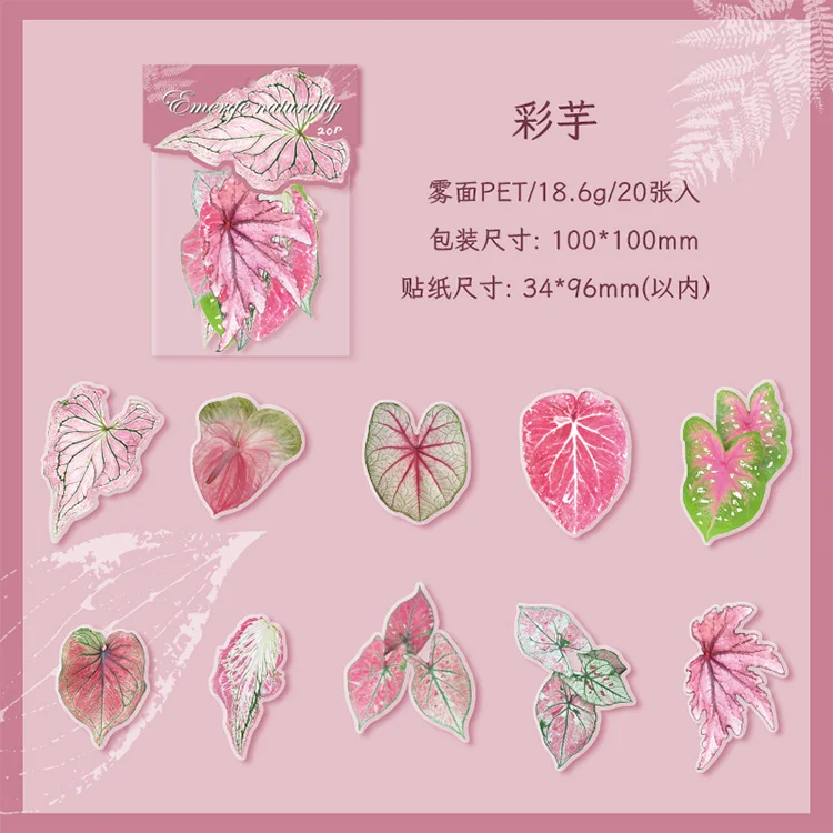 20 pcs Plants Flowers Leaf PET Sticker pack Hand Account Collage Junk Journal Planner Scrapbooking Decor Stationery Stickers