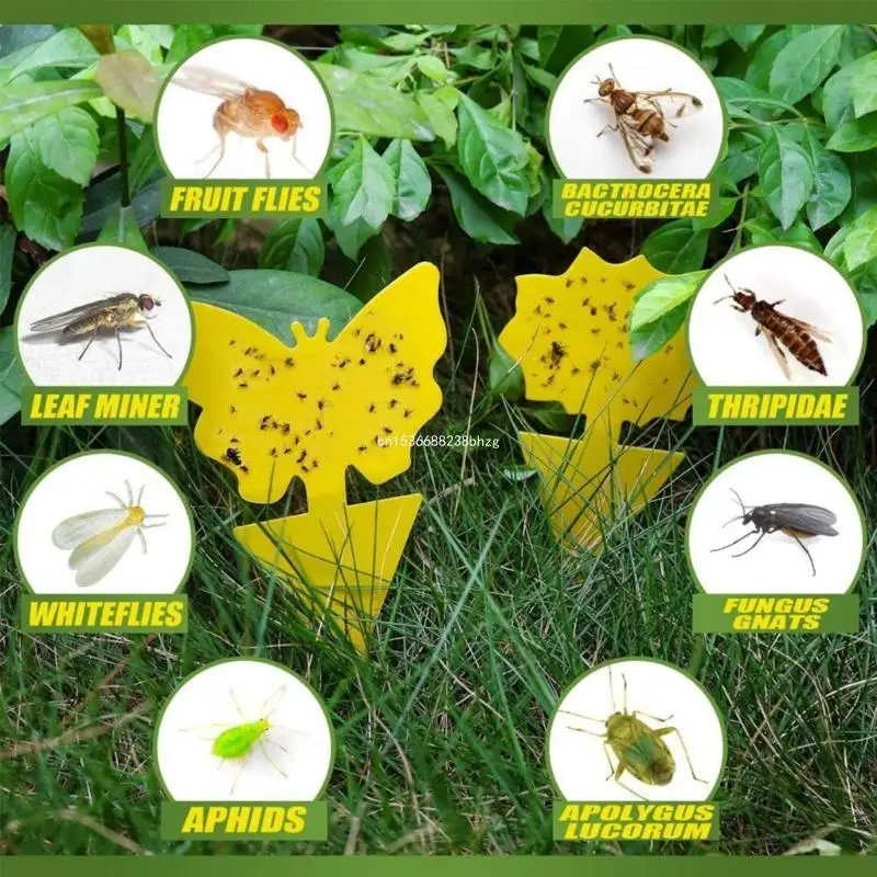 https://ae01.alicdn.com/kf/See8c6637ed0c4769932d74649f2e2d31g/48Pcs-Yellow-Sticky-Insect-Traps-Dual-Sided-Sticky-Fruit-Fly-Trap-Houseplant-Gnats-Traps-Indoor-Fruit.jpg