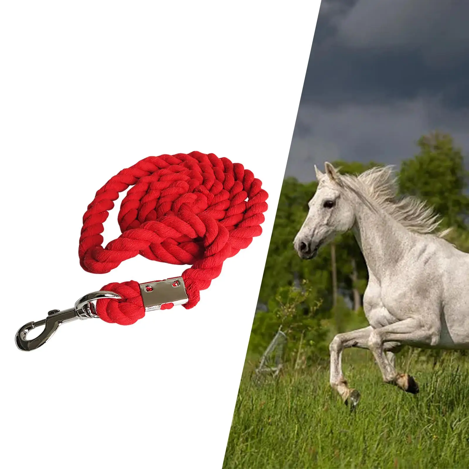 Horse Lead Rope Heavy Duty Swivel Buckle Bolt Snap Clip Practical Soft for Leading Training Horse, Goats or Sheep Braided Rope