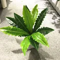 45cm L