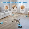 Bâton électrique et jouet de marche pour chat, avec télécommande, programme interactif de perte de poids, vocalises, et tapis roulant d'intérieur à plumes pour chat 1