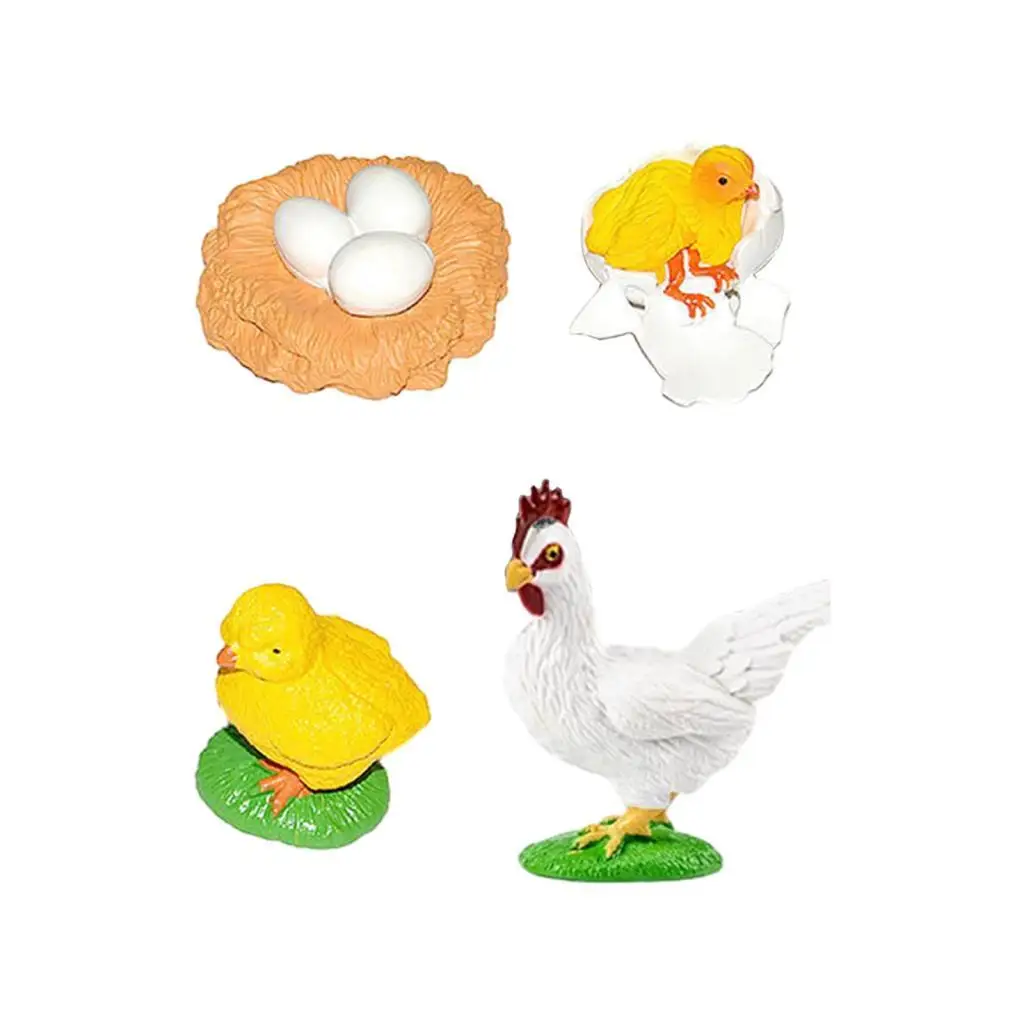 Animal Life Growth Cycle Figure Teaching Tools Science Birthday Gifts Puzzle Biology Model for Boys Girls Preschool Learning 4