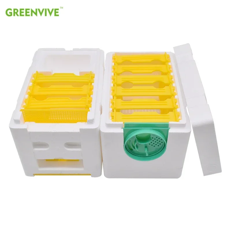Double Beekeeping King Box Bee Hive Pollination Boxes Harvest Bee Boxes Queen Breeding Tools Nest Case Beekeeping Equipment