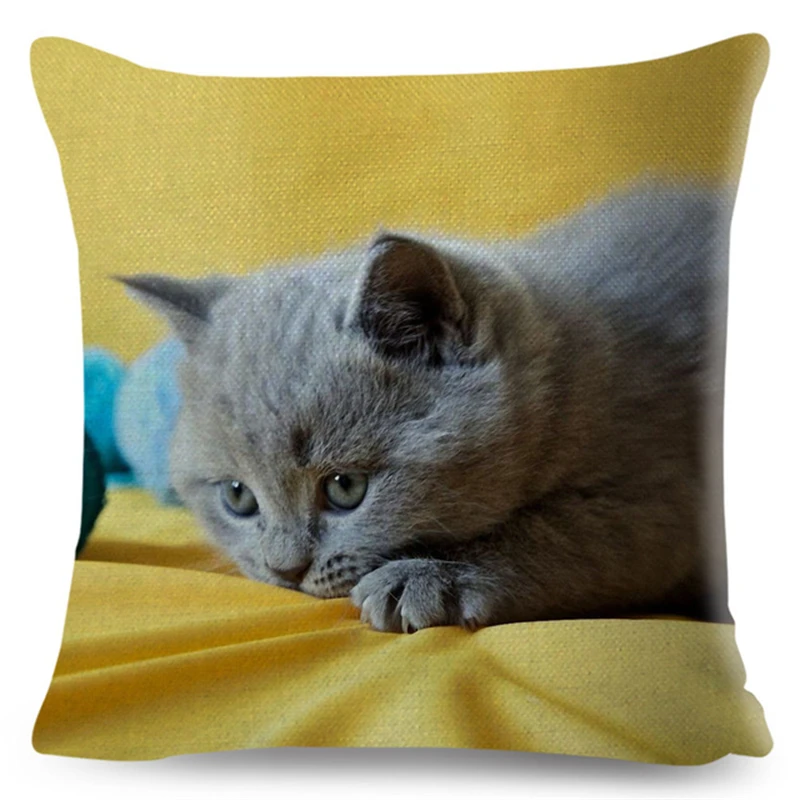 Cute Pet Animal Cushion Cover 3D Fold Ear Cat Pillow Covers 45*45cm Orange cat Blue Cat Linen Pillow Case Car Sofa Home Decor