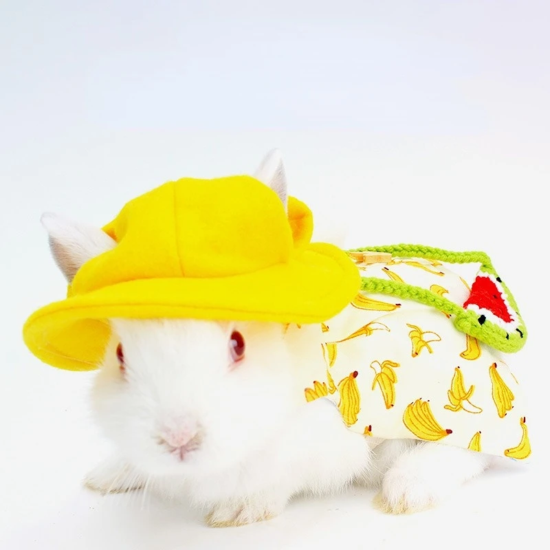 Pet Bunny Hats Guinea Pig Harness Small Animal Vest Bag Hat Ferret Bunny Hamster Small Pet Accessories