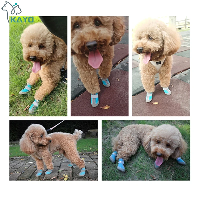 메쉬 반려견 신발, 내구성 통기성 부드러운 밑창 반사 개 부츠, 작은 개용 산책 등반 개 운동화, 고양이 신발