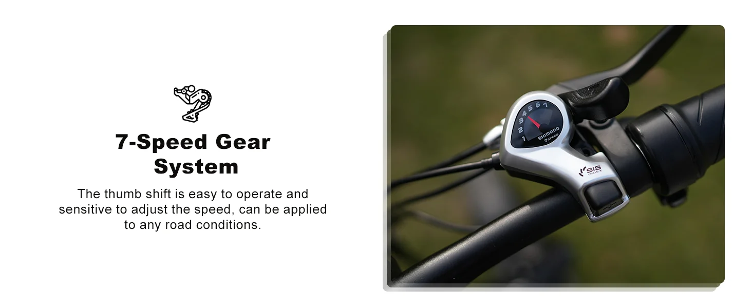 electric bike