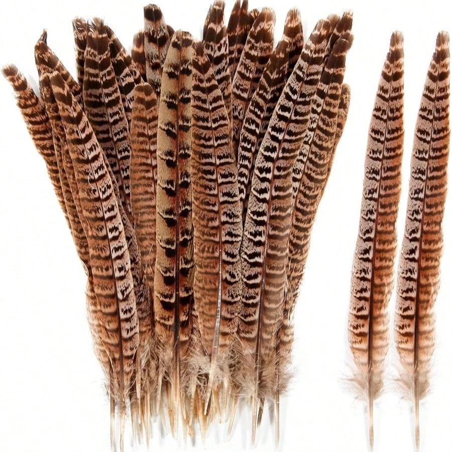 Natural Pheasant Tail Feathers 1