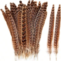 Natural Pheasant Tail Feathers 1