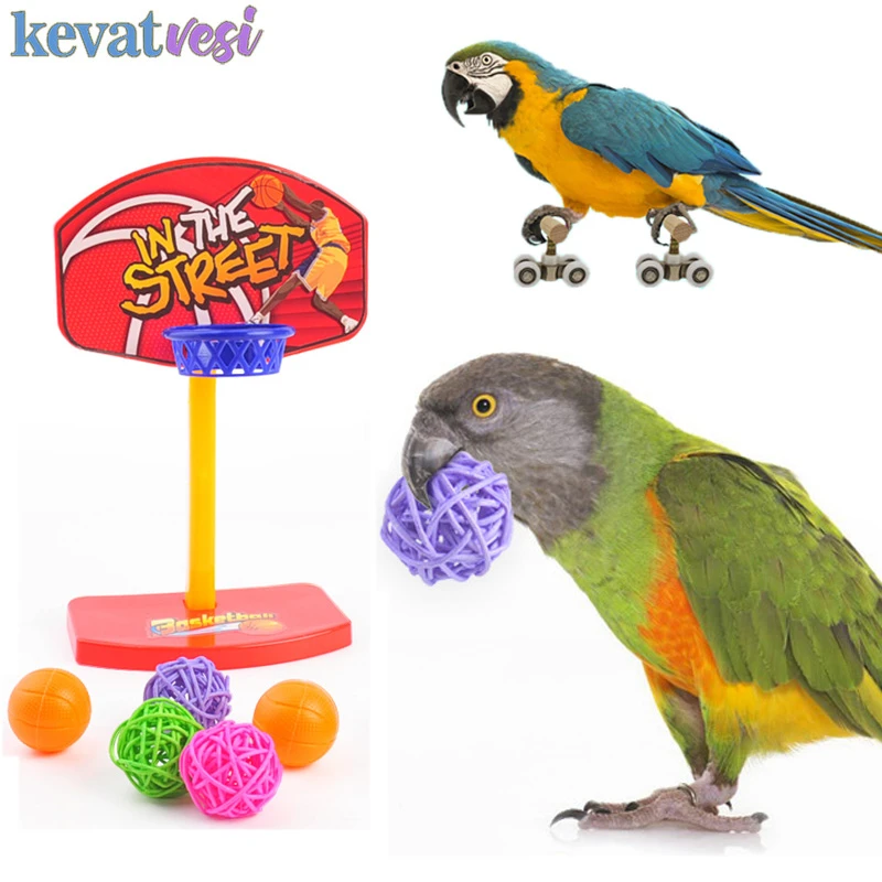 Puzzel Mini aro de baloncesto para pájaros, interactivos para loros, herramientas de plástico para pájaros, accesorios de entrenamiento para pequeñas|Juguetes para - AliExpress