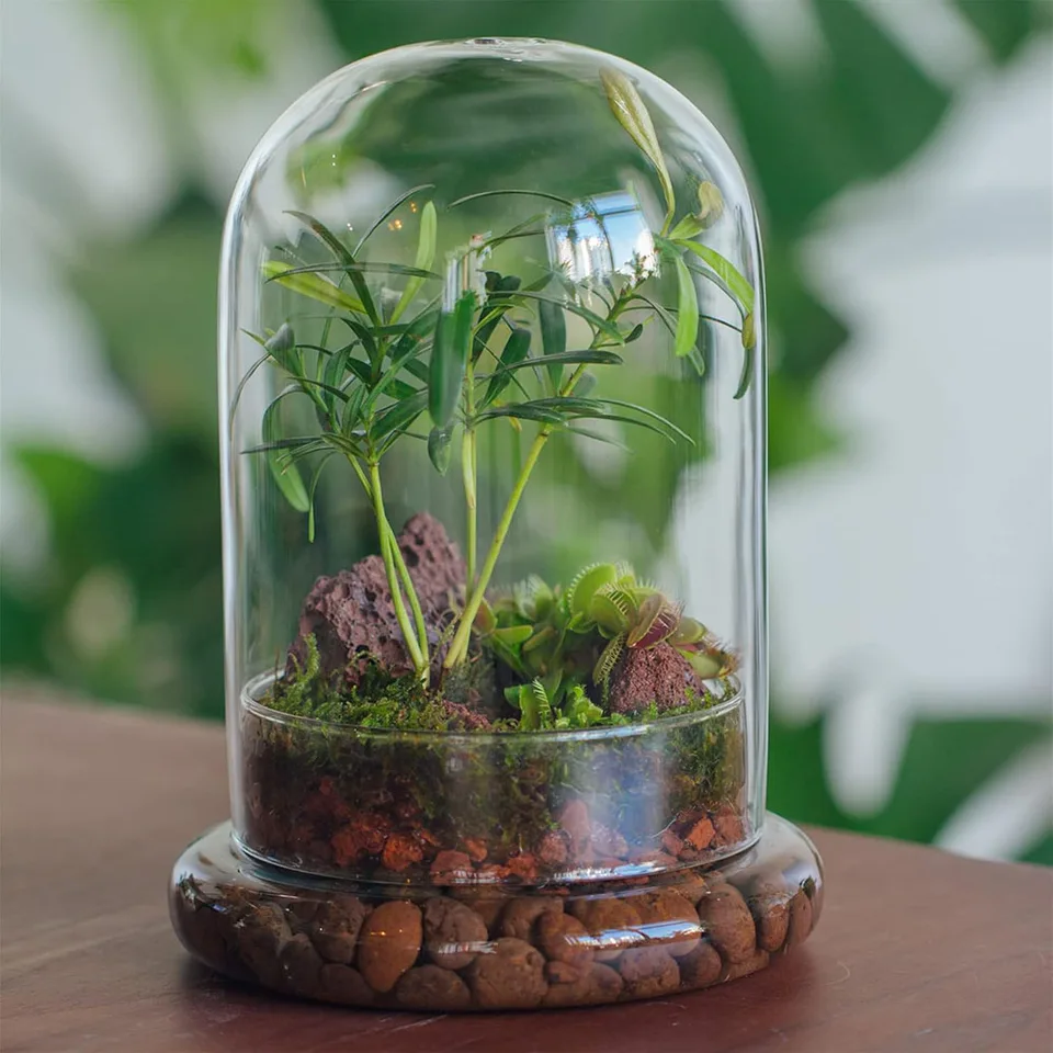 エアホール付きガラスドーム ガラスクローシュベルジャー ベース付き