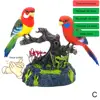 Clapping Voice Control Induction Electronic Parrot Children's Toy Bird Gift Garden Display Pet Toy Electric Sound K7x3 4
