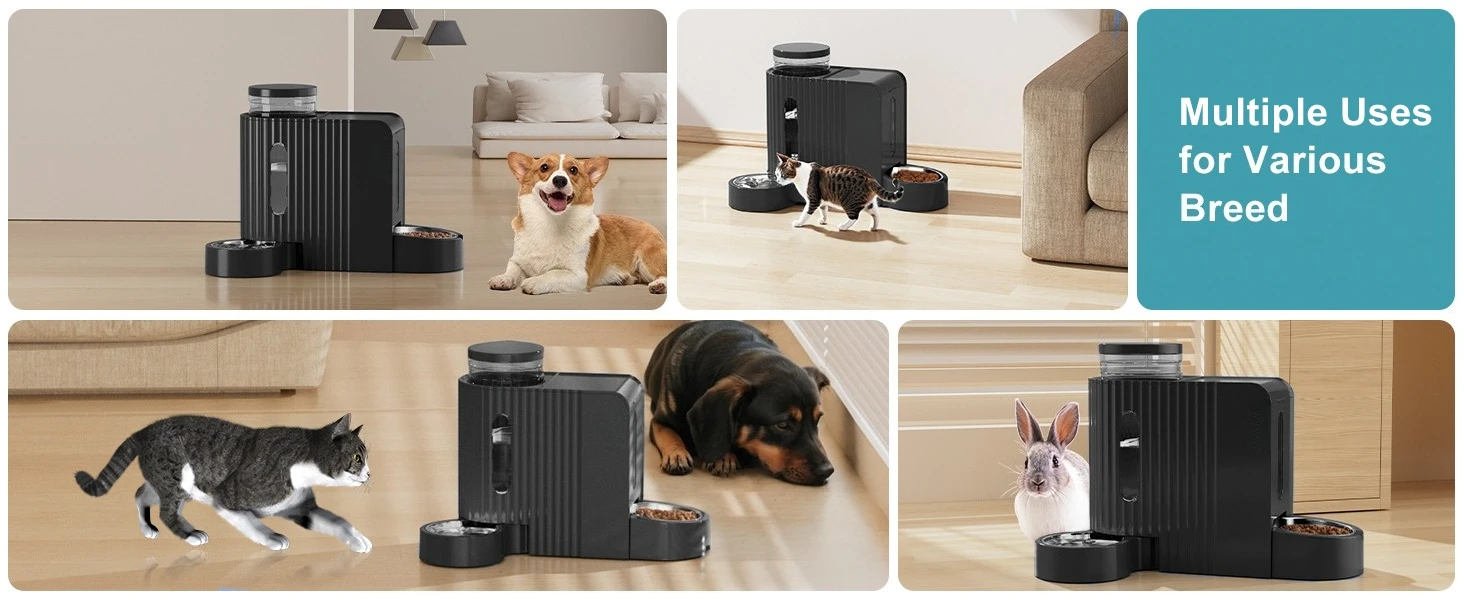 cat water dispenser